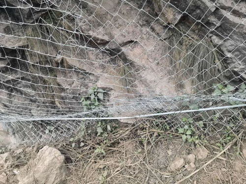 大慶鋼絲繩產(chǎn)品防護網(wǎng)生產(chǎn)廠家